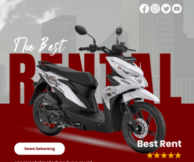 artikel sanni rental