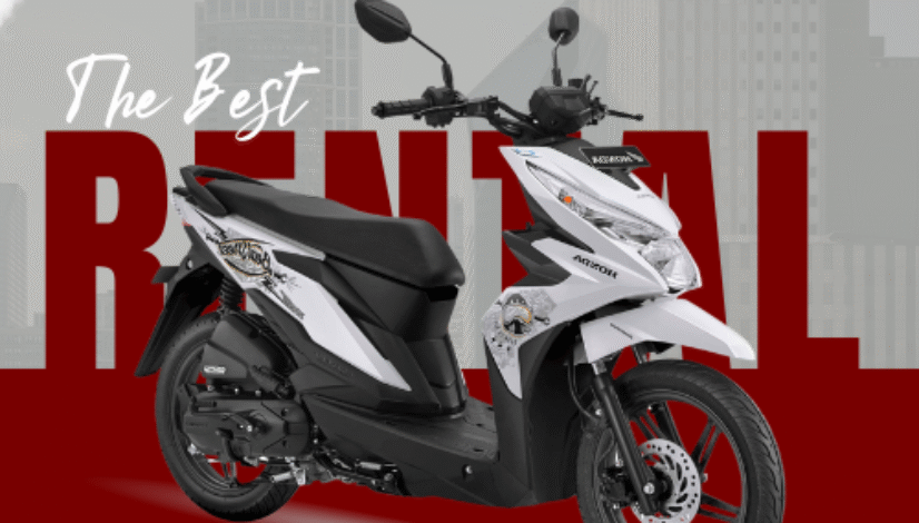 artikel sanni rental